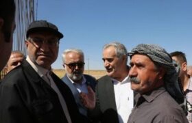رونق کشت آفتابگردان آجیلی در دهگلان