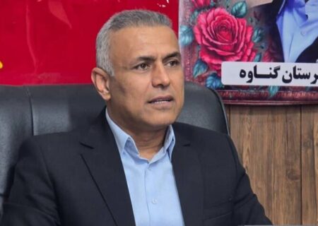 جاده «گناوه–گوره» روکش آسفالت می‌شود
