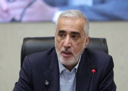 پیرصالحی: نظارت چند سازمانی بر صنعت باید برچیده شود