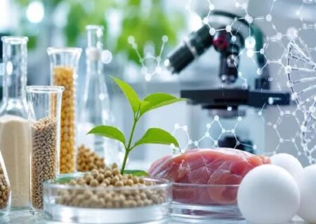 از مقاله تا تصمیم؛ پیشنهاد انجمن اپیدمیولوژی برای پیوند دانش و سیاستگذاری سلامت