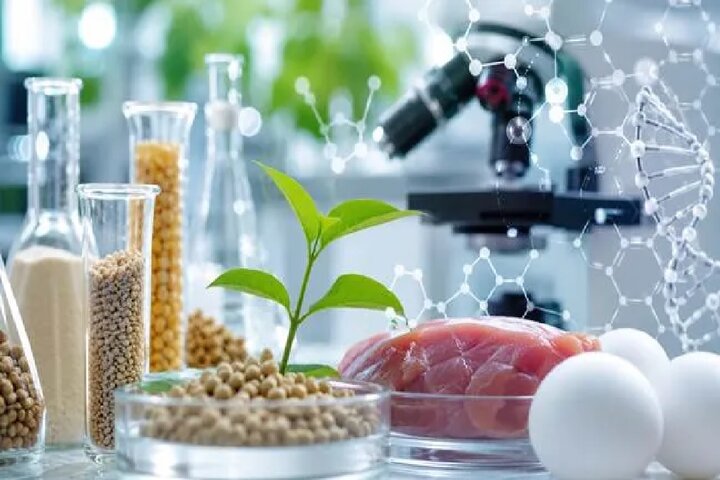 از مقاله تا تصمیم؛ پیشنهاد انجمن اپیدمیولوژی برای پیوند دانش و سیاستگذاری سلامت