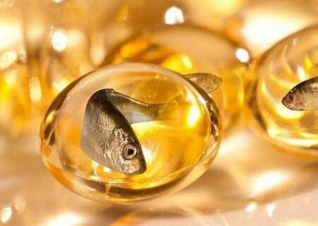 ماهی سالمون در برابر مکمل‌ روغن ماهی؛ کدام‌یک برای سلامت مغز بهتر است
