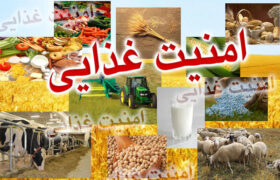 روستاها در خط مقدم امنیت غذایی؛ ظرفیت‌ هایی که باید تقویت شوند