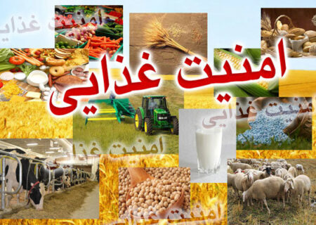 روستاها در خط مقدم امنیت غذایی؛ ظرفیت‌ هایی که باید تقویت شوند