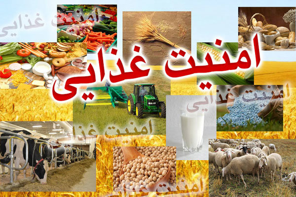 روستاها در خط مقدم امنیت غذایی؛ ظرفیت‌ هایی که باید تقویت شوند
