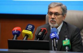 توسعه همکاری وزارت بهداشت با پزشکان ایرانی مقیم آلمان
