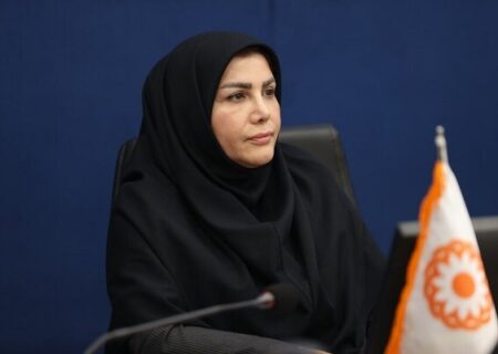 حمایت از کسب‌وکارهای خرد با راه‌اندازی صندوق‌های محله‌محور بهزیستی