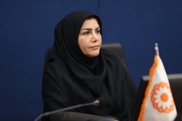 حمایت از کسبوکارهای خرد با راهاندازی صندوقهای محلهمحور بهزیستی