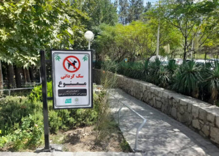 سگ‌گردانی؛ سبک زندگی جدید یا پاسخی به تنهایی و انزوای شهری؟